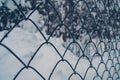 Fence mesh chain-link in winter