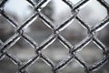 Fence mesh covered with ice, Royalty Free Stock Photo