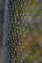 Fence with a metal mesh with a blurred background Royalty Free Stock Photo
