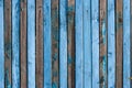 A fence of narrow old blue planks with a row of nails. Royalty Free Stock Photo