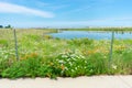 Fence next to a Pond and Native Plants at Northerly Island in Chicago