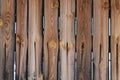 Fence of old unpainted boards for a background Royalty Free Stock Photo