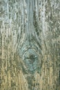 Fence from old weathered pine boards. Texture of natural aged wood. Woodworm holes, rusty nails. Creative vintage background Royalty Free Stock Photo