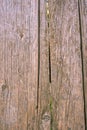 Fence from old weathered pine boards. Texture of natural aged wood. Woodworm holes, rusty nails. Creative vintage background Royalty Free Stock Photo