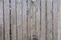 Fence from old weathered pine boards. Texture of natural aged wood. Woodworm holes, rusty nails. Creative vintage background Royalty Free Stock Photo