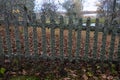 Fence overgrown with moss