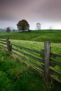 Fence in the pasture with trees, rain weather, Bohemian Switzerland, Czech republic Royalty Free Stock Photo