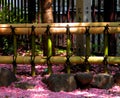 Fence and petals Royalty Free Stock Photo