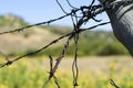 Fence post Royalty Free Stock Photo