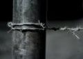 Fence Post with Barbed Wire Royalty Free Stock Photo