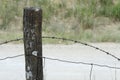 Fence Post With Barbed Wire Royalty Free Stock Photo