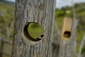 Fence Post Hole