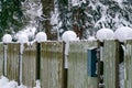 The fence posts are covered with white snow Royalty Free Stock Photo