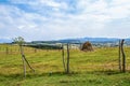 When the fence posts sprout - an old-fashioned hay stack surrounded by barbed wire held up by cup saplings with some sprouting - Royalty Free Stock Photo