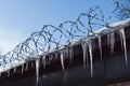 Fence prison winter icicles barbed wire