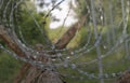 Fence - a barrier made of wood and razor wire among the lush summer Polish nature. Royalty Free Stock Photo