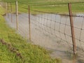 Fence in puddle of water with green grass Royalty Free Stock Photo