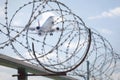 Fence with razor barbed wire protection against blue sky background. Dictatorship and tyranny concept