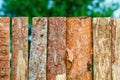 Fence of rough pine boards