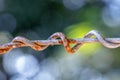 A fence with rusty barbed wire, Clothes line