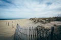 Fence and sand dunes at Cape Henlopen State Park in Rehoboth Beach, Delaware. Royalty Free Stock Photo