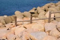 Fence on the Sea coast