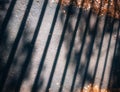 Fence shadow on autumn park path background Royalty Free Stock Photo