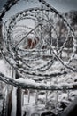 Fence with sharp barbed wire Royalty Free Stock Photo