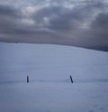 Fence and Snow