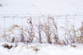 Fence of a snowy pasture Royalty Free Stock Photo