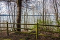 Fence And Spring Trees