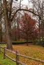 Fence and tree in Lullwater Park, Atlanta, USA Royalty Free Stock Photo