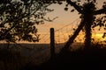 Fence and Tree Silhouetted Against Sunset Royalty Free Stock Photo