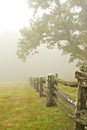 Fence and trees in fog Royalty Free Stock Photo