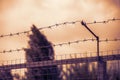 Fence with two rows of barbed wire Royalty Free Stock Photo