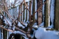 A fence in the village in the snow. Winter landscape