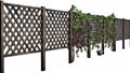 Fence with vine tendrils - laterally without shadow - white BG