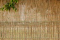 fence wall made of dried cane stalks with one green twig