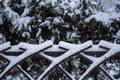The fence on which snow lies against a background of winter snowy bushes in the park
