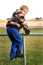 On the Fence Royalty Free Stock Photo