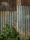 Fence zinc nature