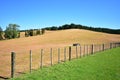 Fenced Dairy Farm Paddock In Dry Summer