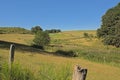 Meadows with trees in the Luxembourg countryside