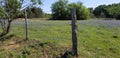 Fenced pasture of wild flowers Royalty Free Stock Photo