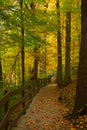 Fenced path in fall woods Royalty Free Stock Photo
