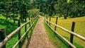 Fenced path in a green garden Royalty Free Stock Photo