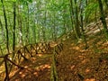 Fenced path wood