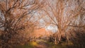 A fenced trail on the hike Royalty Free Stock Photo