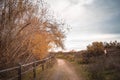 A fenced trail on the hike with trees to one side Royalty Free Stock Photo