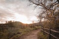 A fenced trail on the hike with trees to one side at sunset